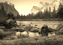 Szary + Sepia