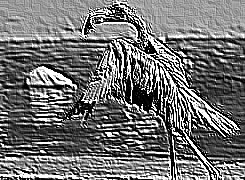 Skamielina