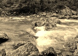 Szary + Sepia