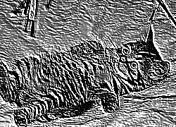Skamielina