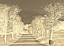 Sepia + Negatyw