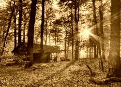 Sepia