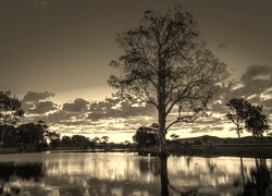 Sepia