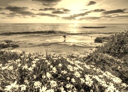 Sepia
