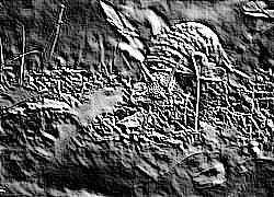 Skamielina