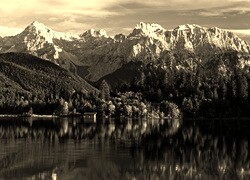 Szary + Sepia