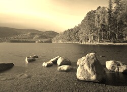 Szary + Sepia