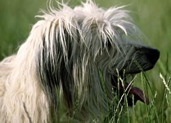 Oryginalny obrazek