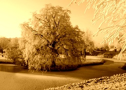 Sepia