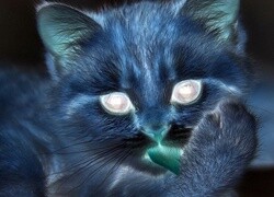 Negatyw