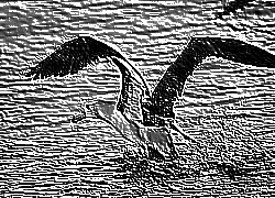 Skamielina