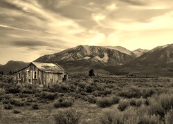Szary + Sepia