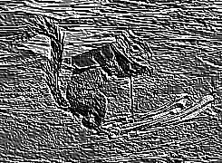 Skamielina