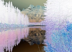 Negatyw