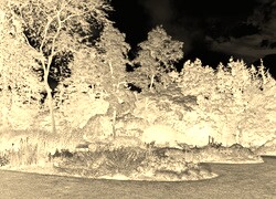 Sepia + Negatyw