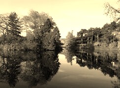 Szary + Sepia