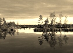 Szary + Sepia