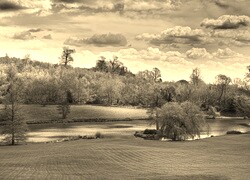 Szary + Sepia
