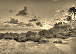 Szary + Sepia