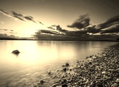 Szary + Sepia