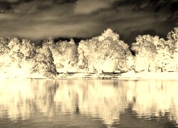 Sepia + Negatyw