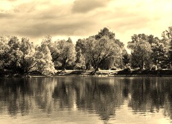 Szary + Sepia