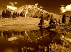 Sepia