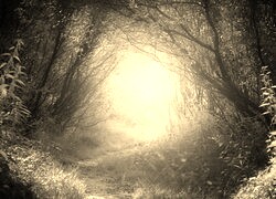 Szary + Sepia