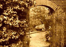 Sepia