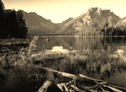 Sepia