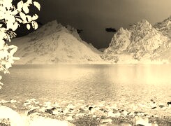 Sepia + Negatyw