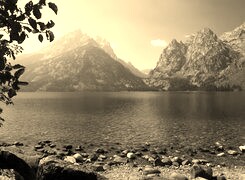 Szary + Sepia