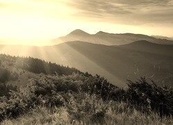 Szary + Sepia