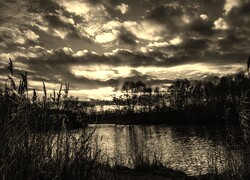 Szary + Sepia