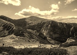 Sepia