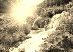 Sepia