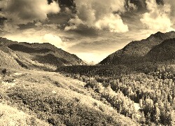 Szary + Sepia