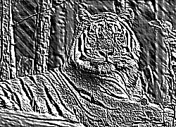 Skamielina