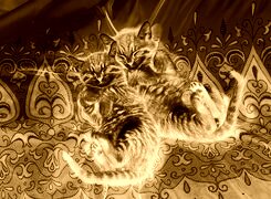 Sepia + Negatyw