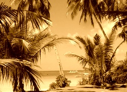 Sepia