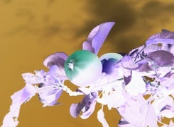 Negatyw