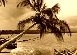 Sepia