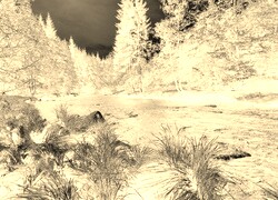 Sepia + Negatyw