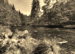 Sepia