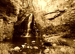 Sepia