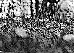 Skamielina