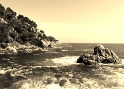 Szary + Sepia
