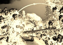 Sepia + Negatyw