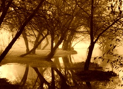 Sepia