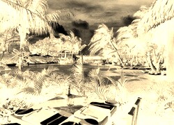 Sepia + Negatyw